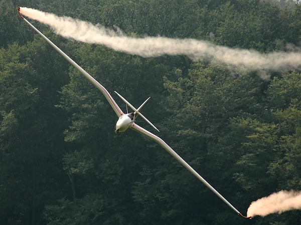  DFS Habicht glider showing gull wing profile. 